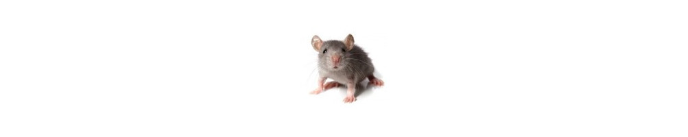 Ratones y Topos